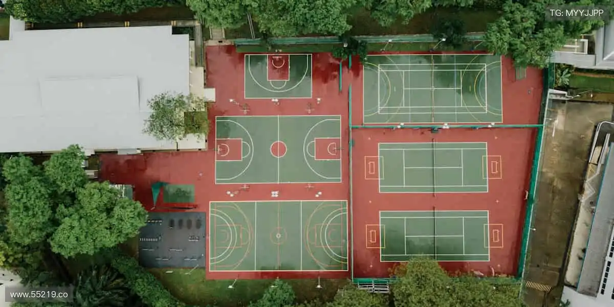 ✨ 一键订阅，精彩不断！最新赛事资讯，第一时间送达！